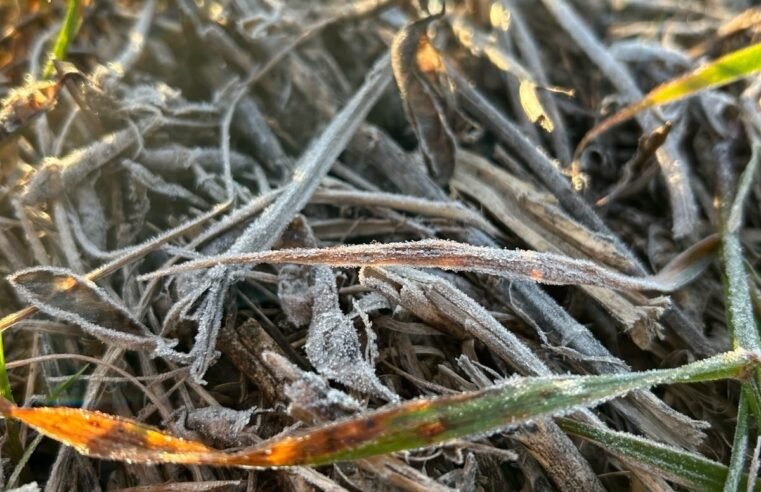 Primeiro amanhecer da primavera teve geada em Rosário do Sul