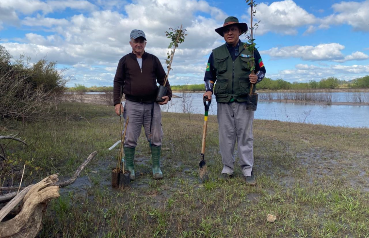 Projeto Verdes Rios ultrapassa 6 mil mudas plantadas em Rosário do Sul